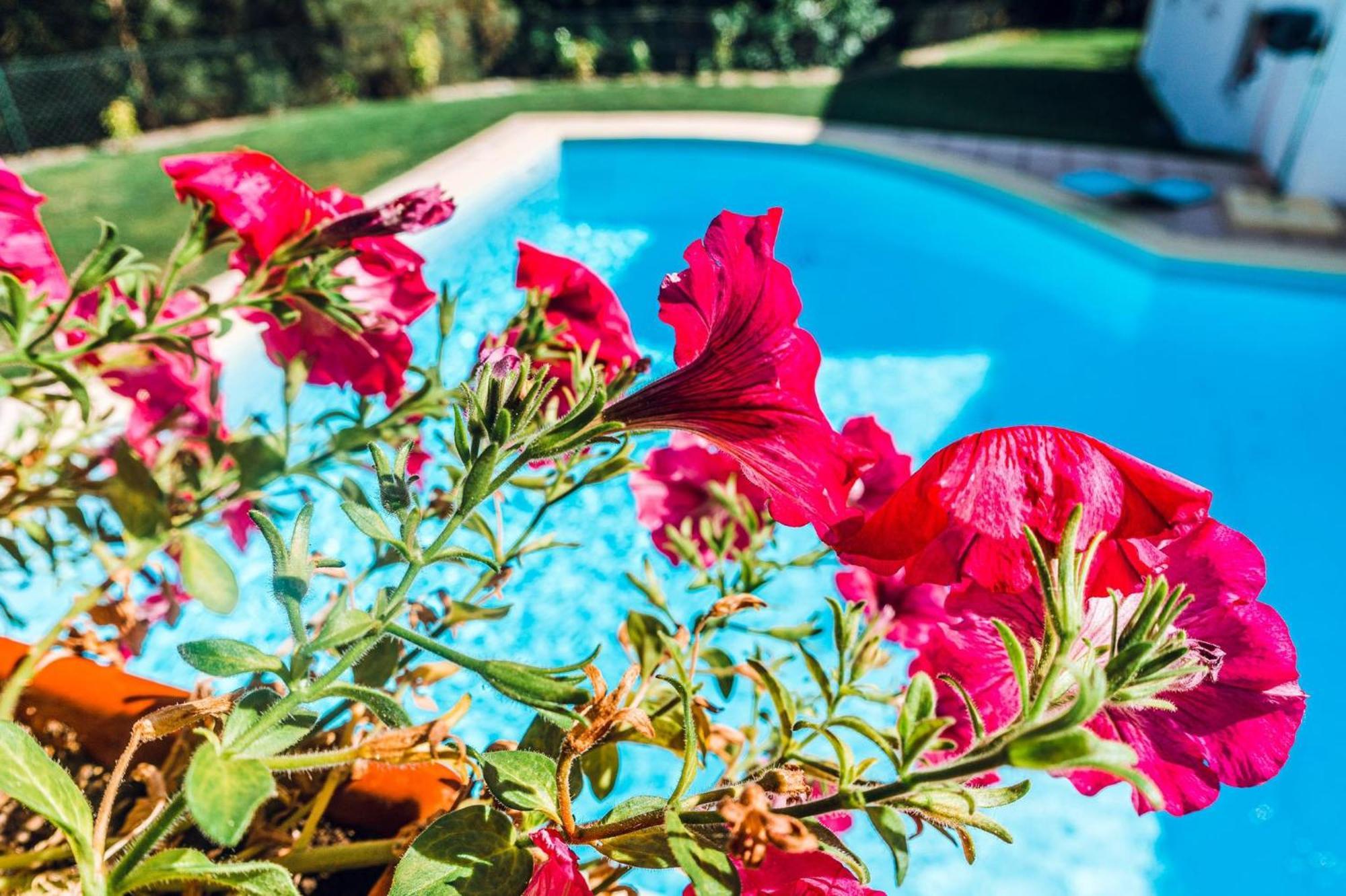 Estalagem Bela Vista Bed and Breakfast Mondim de Basto Εξωτερικό φωτογραφία